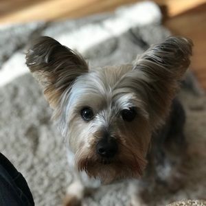 Meet your Posher, Christopher